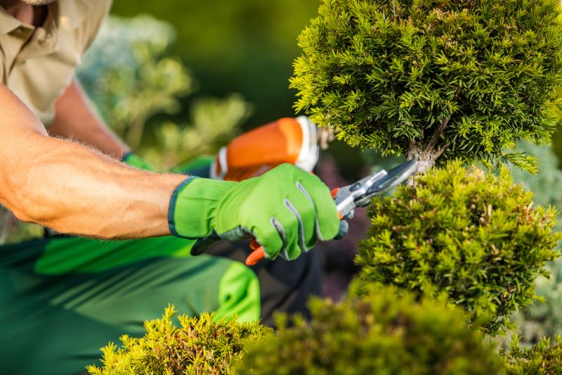 Annual Pruning