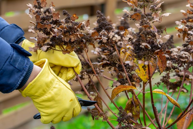 Annual Pruning