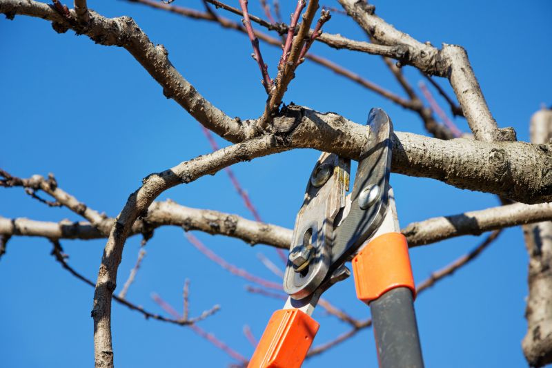 Annual Pruning