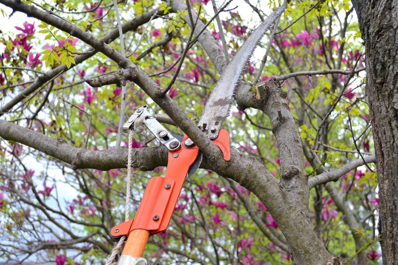 Annual Pruning
