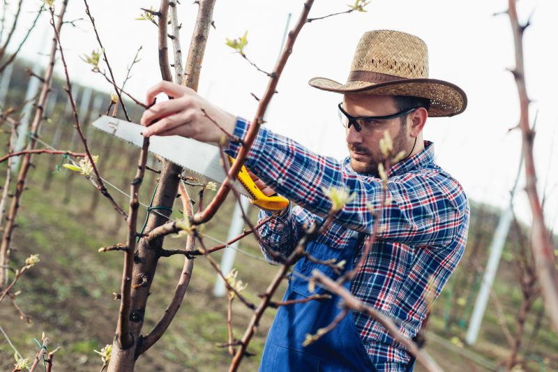 Annual Pruning