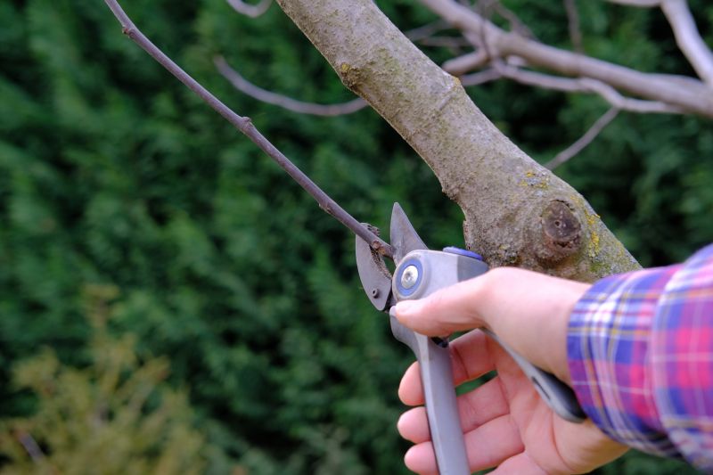 Annual Pruning