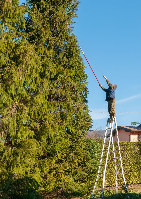 Annual Pruning
