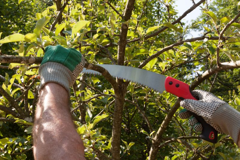 Pruning of Overgrown Trees
