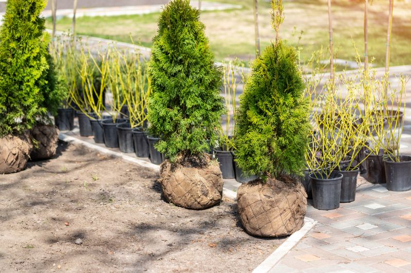 Bush Installation in Ventura County, CA