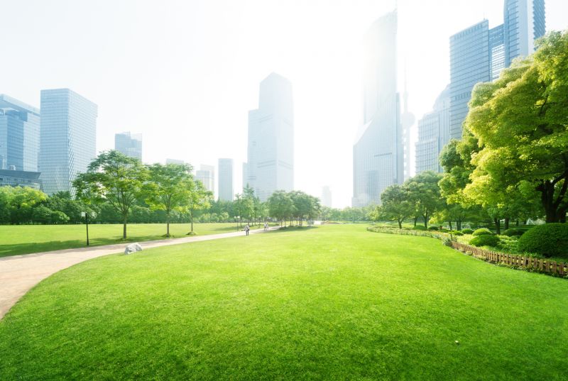 Commercial Landscape Maintenance in Honolulu, HI