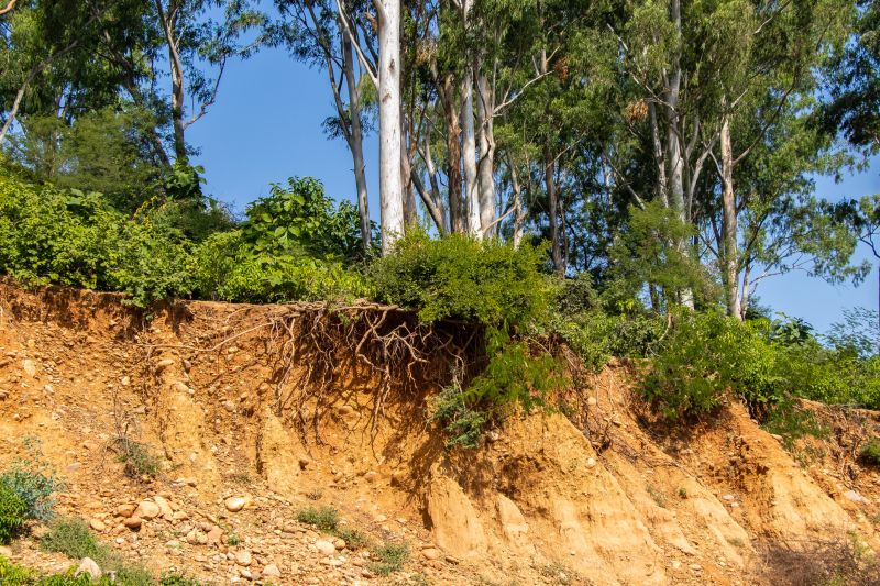 Erosion Matting Service in Honolulu, HI