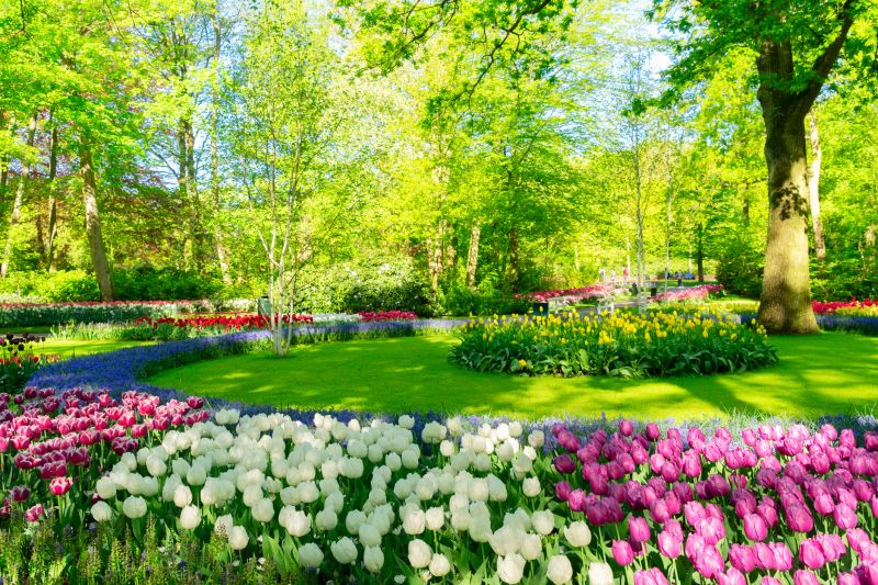 Flower Landscaping in Ventura County, CA