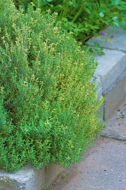 Garden Curbing Service in Honolulu, HI