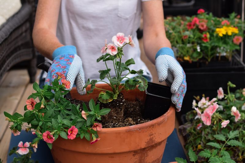 Gardening Service in Ventura County, CA
