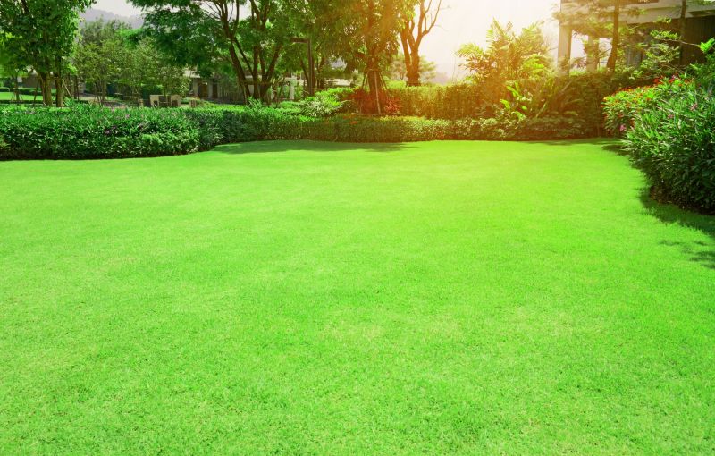 Grass Patching in Honolulu, HI
