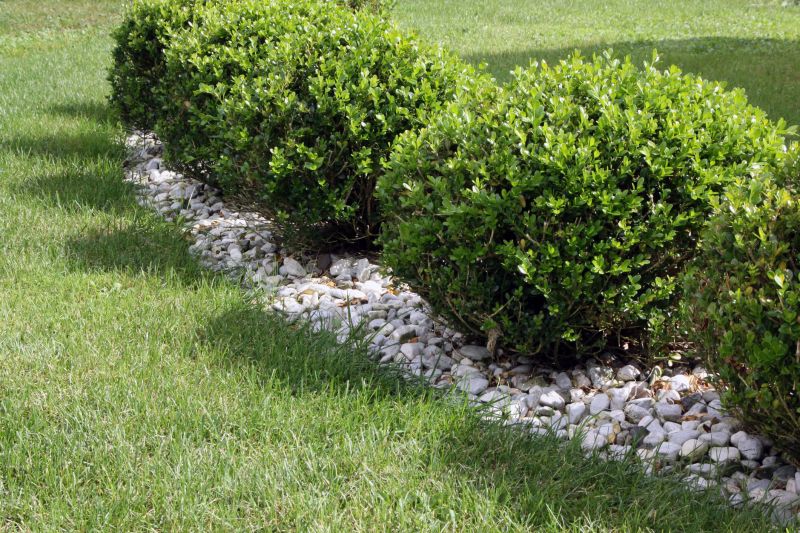 Hedge Landscaping in Honolulu, HI