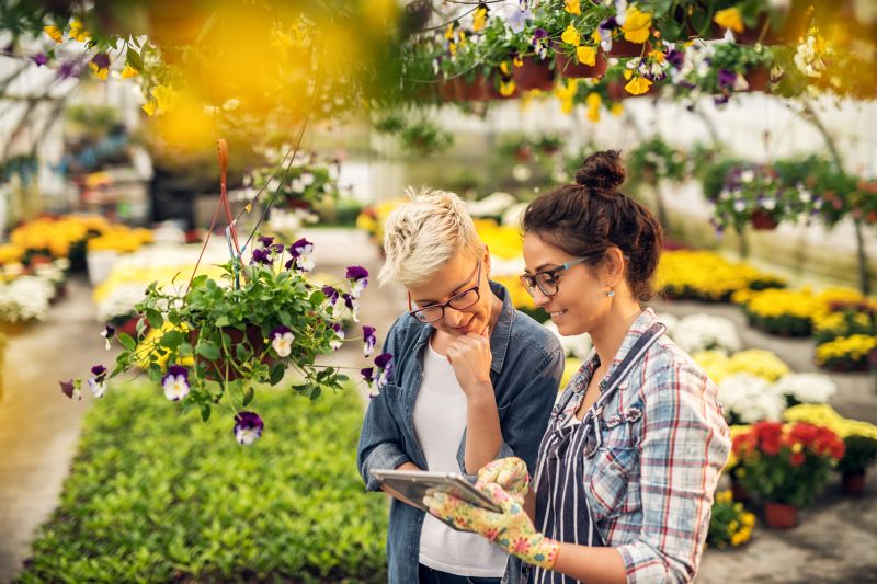 Landscape Planting Service in Honolulu, HI
