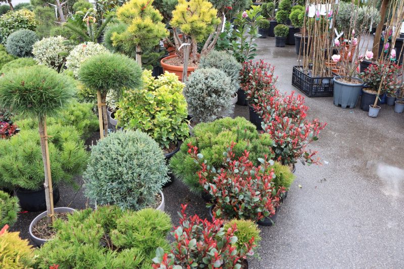 Landscape Planting Service in Ventura County, CA