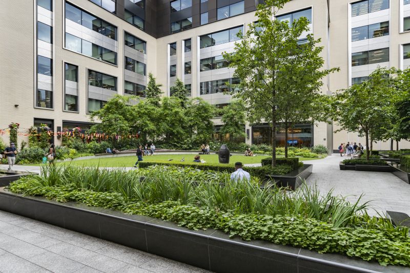 Office Landscaping Design in Honolulu, HI