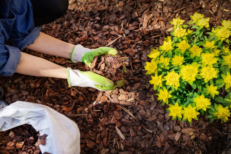 Red Mulch Installation in Honolulu, HI