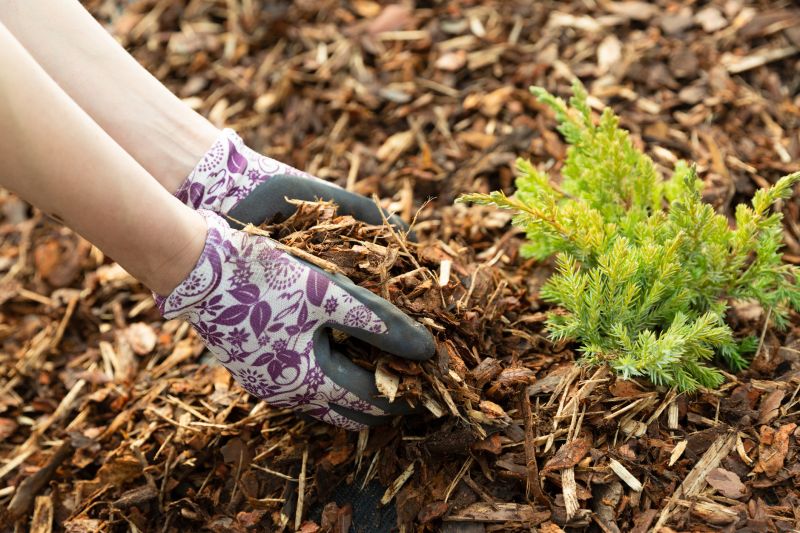 Residential Mulching in Honolulu, HI
