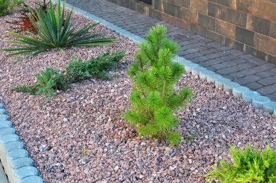 Rock Garden Installation in Honolulu, HI