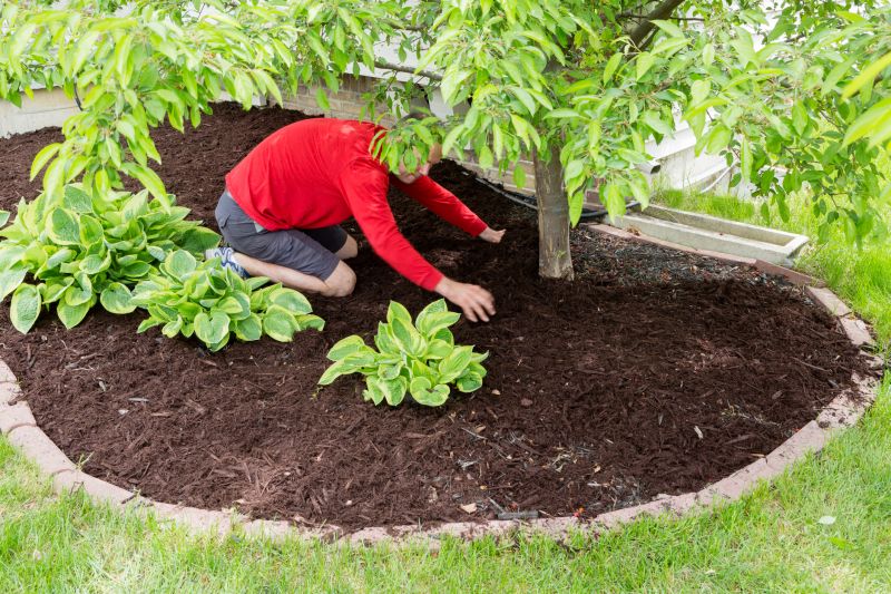 Shredded Mulch Installation in Honolulu, HI