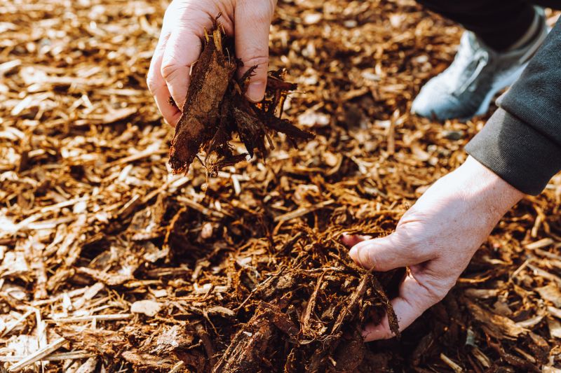 Shredded Mulch Service in Honolulu, HI