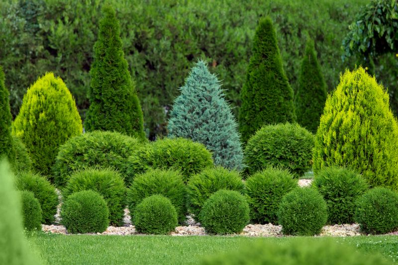 Shrub Planting Service in Ventura County, CA