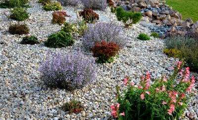 Softscaping Service in Ventura County, CA
