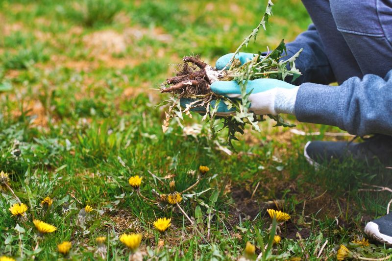 Spring Garden Maintenance in Ventura County, CA