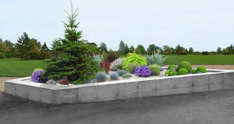 Tree Curbing Installation in Honolulu, HI