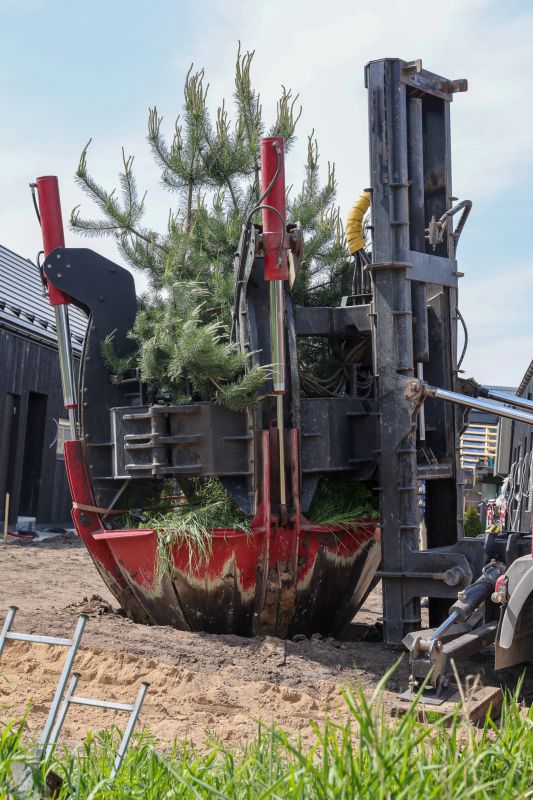 Tree Planting Service in Ventura County, CA