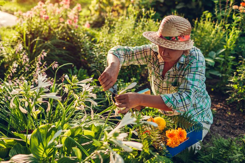 Weeding And Mulching in Ventura County, CA