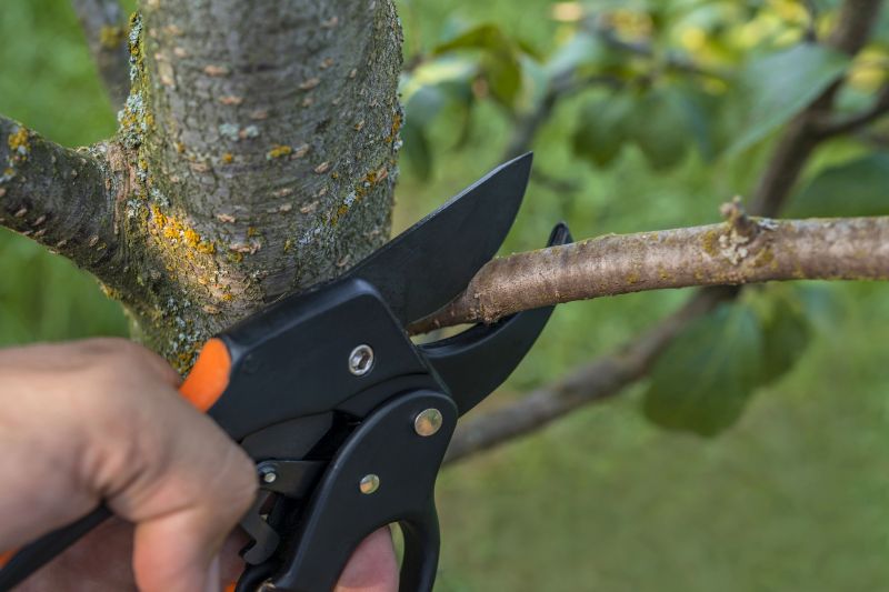 Equipment used in pruning