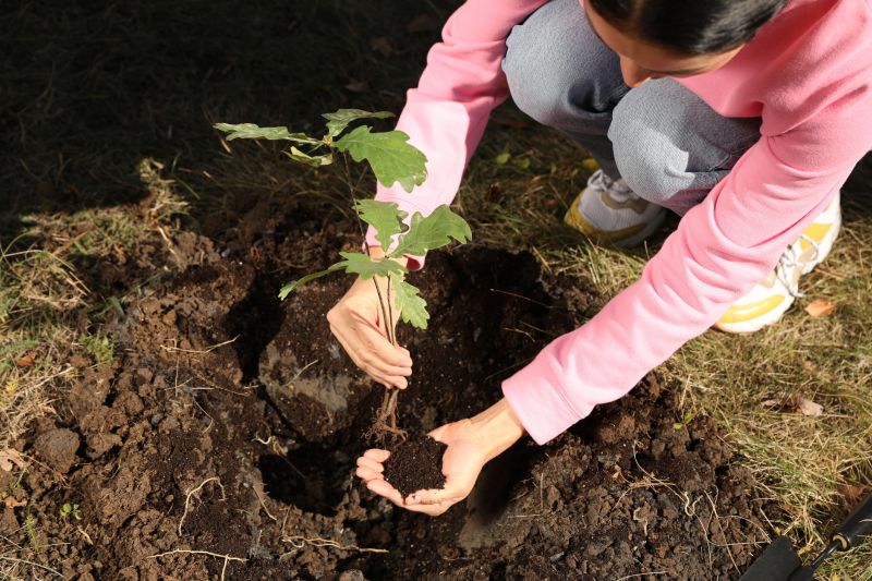 Apple Tree Planting in Ventura County, CA