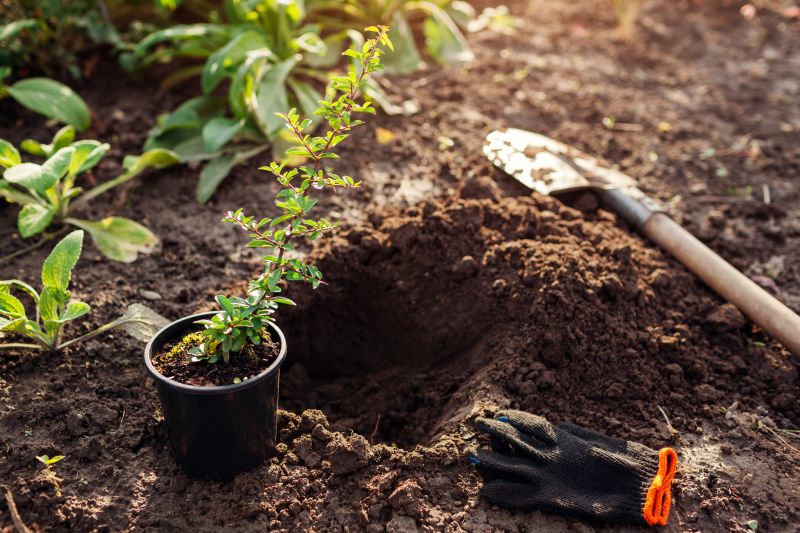 Plant Replacement in Ventura County, CA