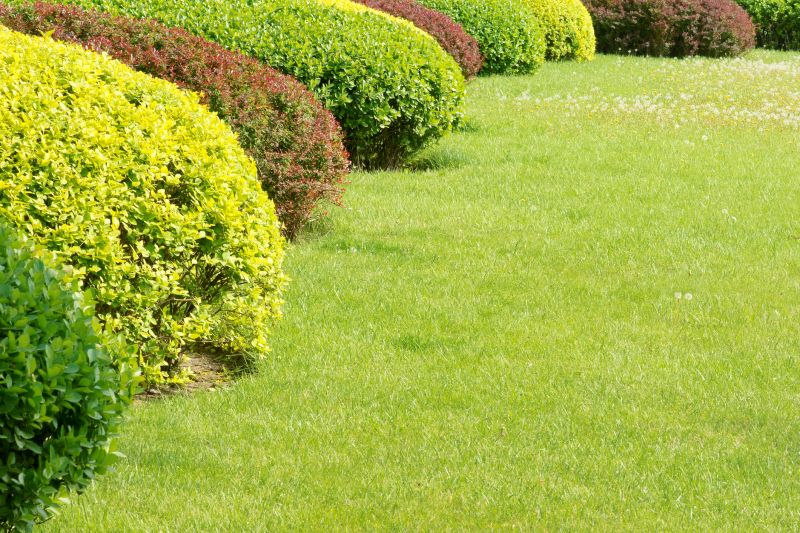 Shrub Replacement in Ventura County, CA