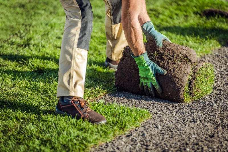 Softscaping Service in Ventura County, CA
